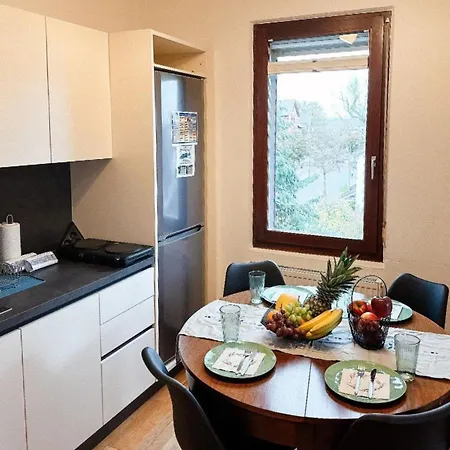 Sali Homes K39 Monte-carlo -spacious 6-bedroom With Terrace And Garden Views In Ideal For Groups * Bayreuth